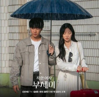 ms incognito (12 episodes)