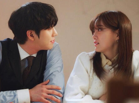 business proposal (13 episodes)